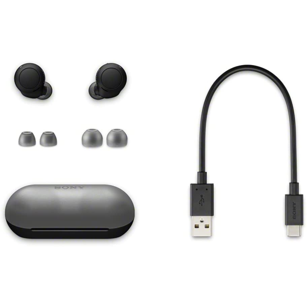 Sony WF-C500 Truly Wireless In-Ear Bluetooth Earbud Headphone