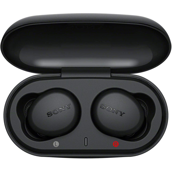 Sony WF-XB700 EXTRA BASS True Wireless Earbuds  with Mic