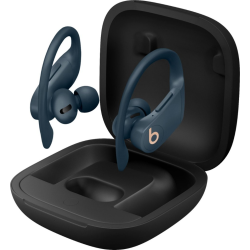 Beats Powerbeats Pro  True Wireless High-Performance Earbuds