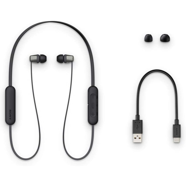 Sony WI-C310 Wireless In-Ear Earphones 