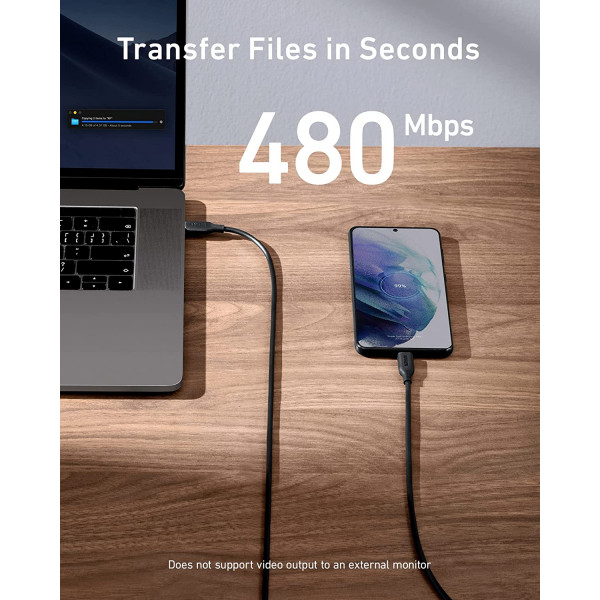 Anker PowerLine III 6ft 100W USB-C to USB-C Cable