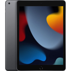 Apple iPad 10.2" (9th Gen, 256GB, Wi-Fi Only, Space Gray)