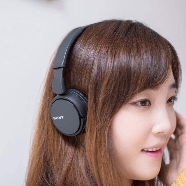 Sony MDR-ZX110 Stereo Wired Headphones 