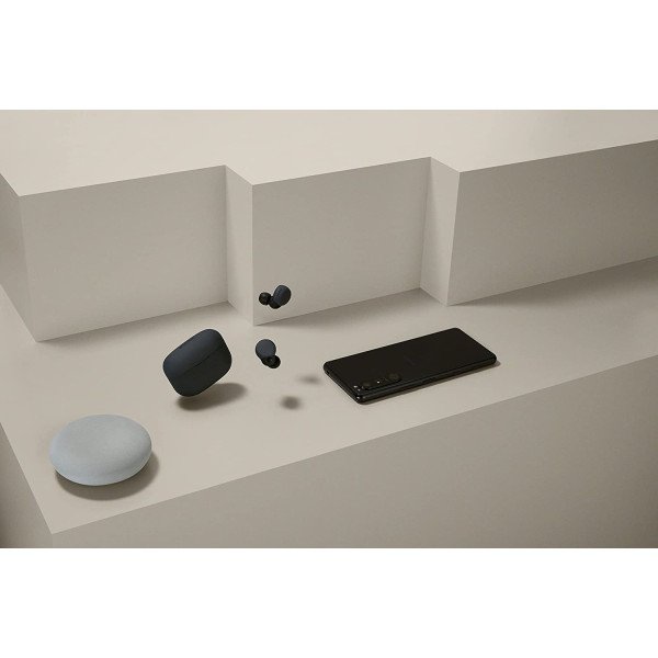 Sony LinkBuds S Noise-Canceling True Wireless Earbuds (Black)