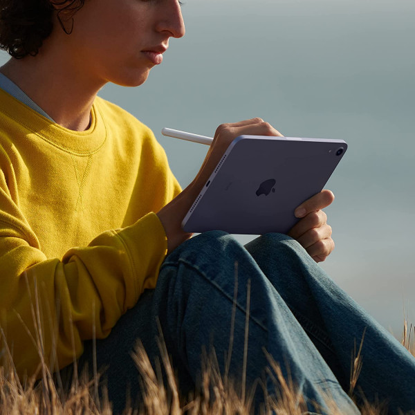 Apple iPad mini 6th Gen, 8.3" - 256GB, Wi-Fi Only, Space Gray