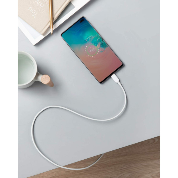Anker PowerLine III USB-C to USB-C Cable 1.8M (6ft)