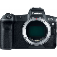 Canon EOS R Mirrorless 4K Video Camera (Body Only)
